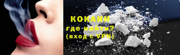 гашик Пестово