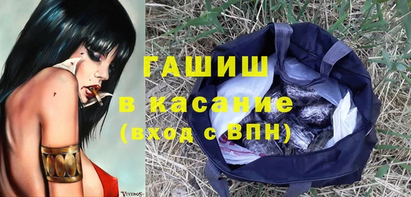 гашик Пестово