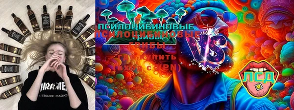 гашик Пестово