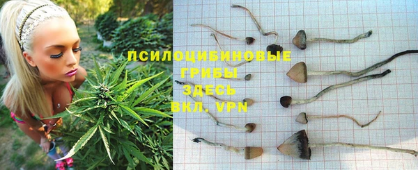 гашик Пестово
