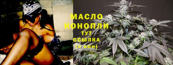 гашик Пестово