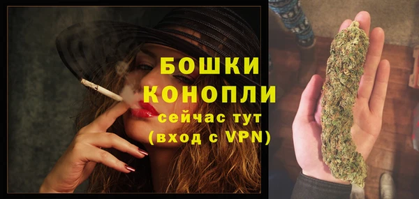 гашик Пестово